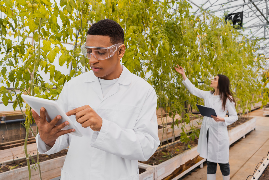 Afrykański botanik korzystający z tabletu cyfrowego w pobliżu rozmazanego kolegi i roślin w szklarni  - Zdjęcie, obraz