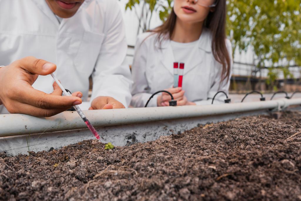 Vista recortada de botánicos interracial con jeringa tomando análisis de suelo en invernadero - Foto, imagen