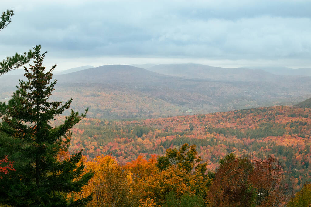 beau paysage d'automne avec arbres et forêt - Photo, image