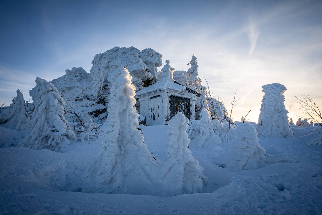 bela paisagem com árvores cobertas de neve - Foto, Imagem