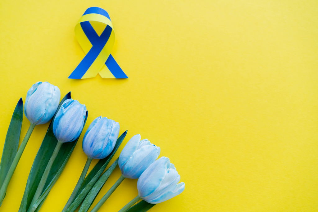 Vue du dessus du ruban bleu et jaune près des tulipes en arrière-plan avec espace de copie - Photo, image