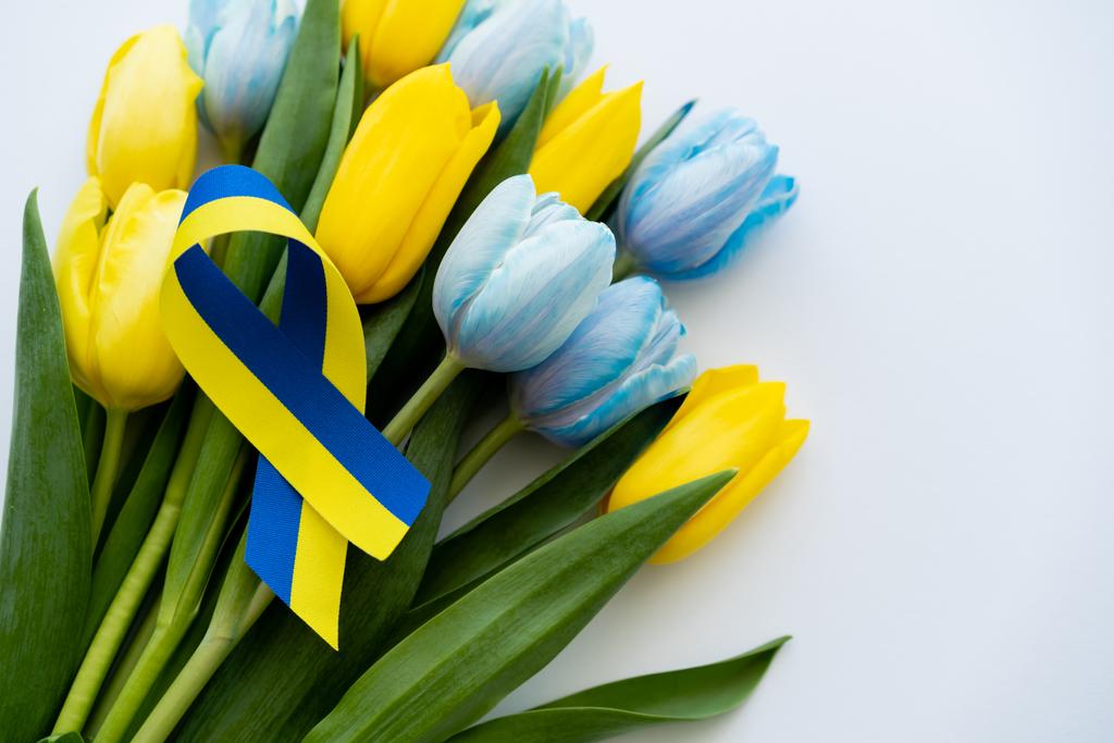 Vista superior de la cinta azul y amarilla en ramo de tulipanes sobre fondo blanco  - Foto, Imagen