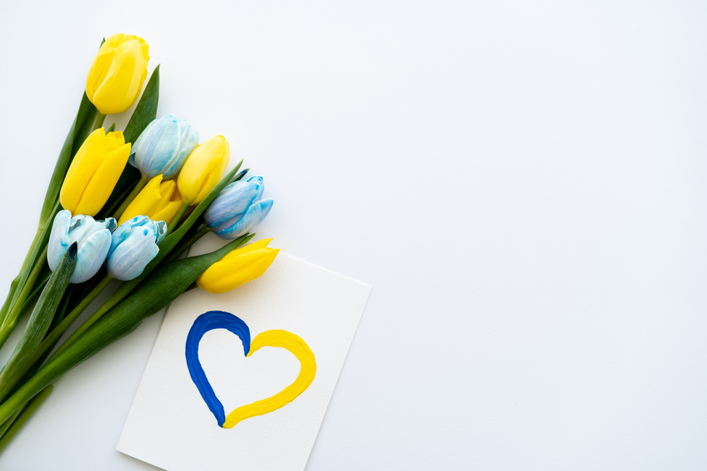 Vista dall'alto della carta con il simbolo del cuore dolorante vicino ai tulipani gialli e blu su sfondo bianco  - Foto, immagini