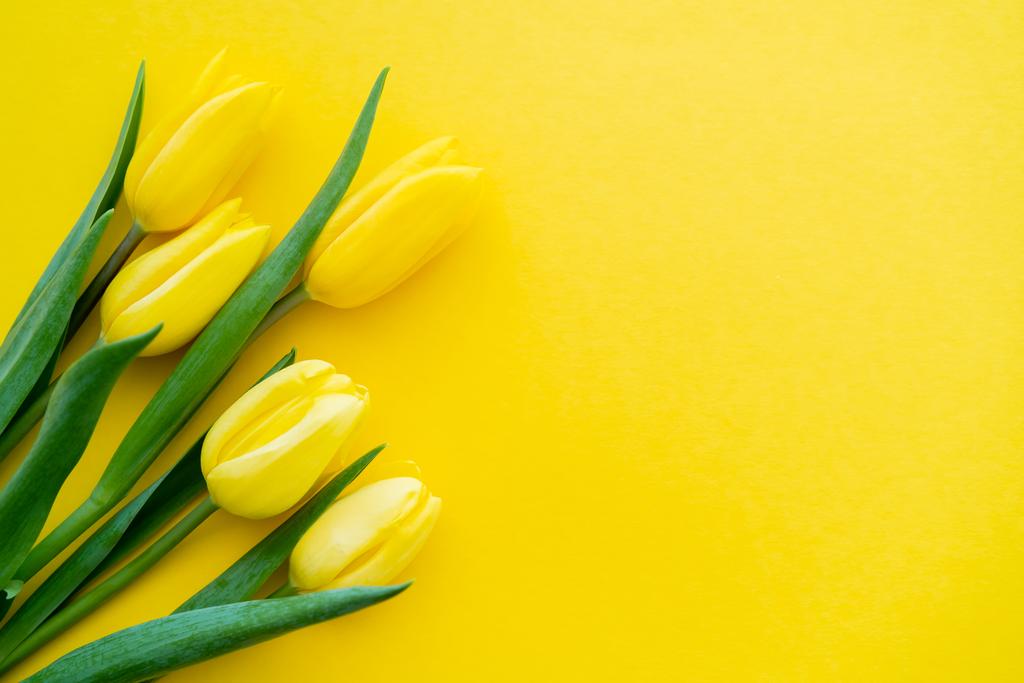 Vista superior de tulipanes con hojas verdes sobre fondo amarillo con espacio para copiar - Foto, imagen