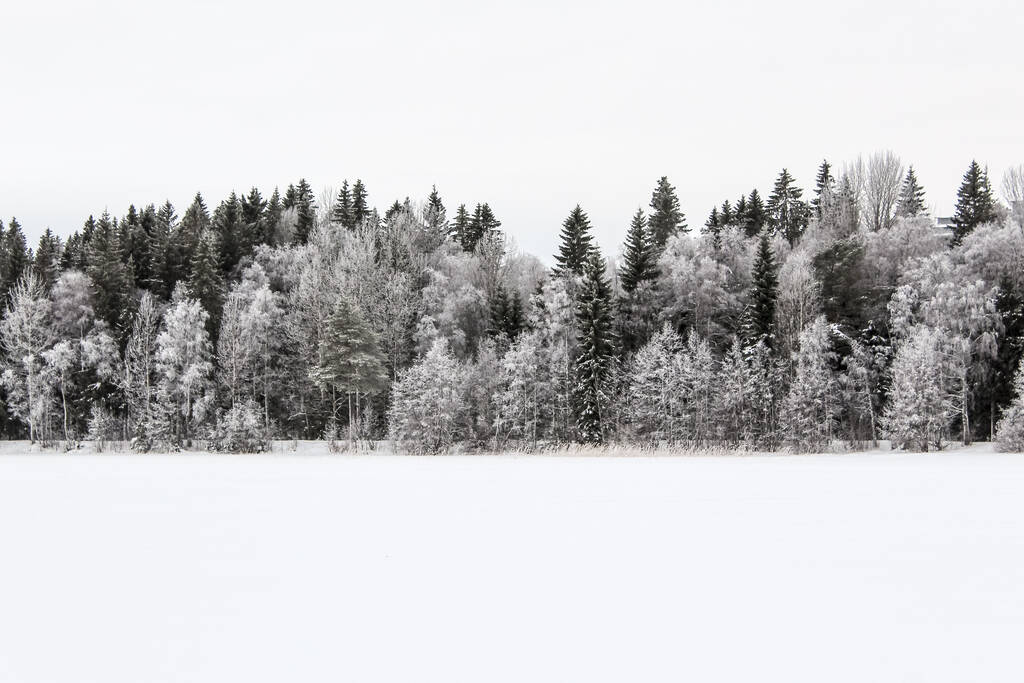 Winterlandschaft mit schneebedeckten Bäumen - Foto, Bild