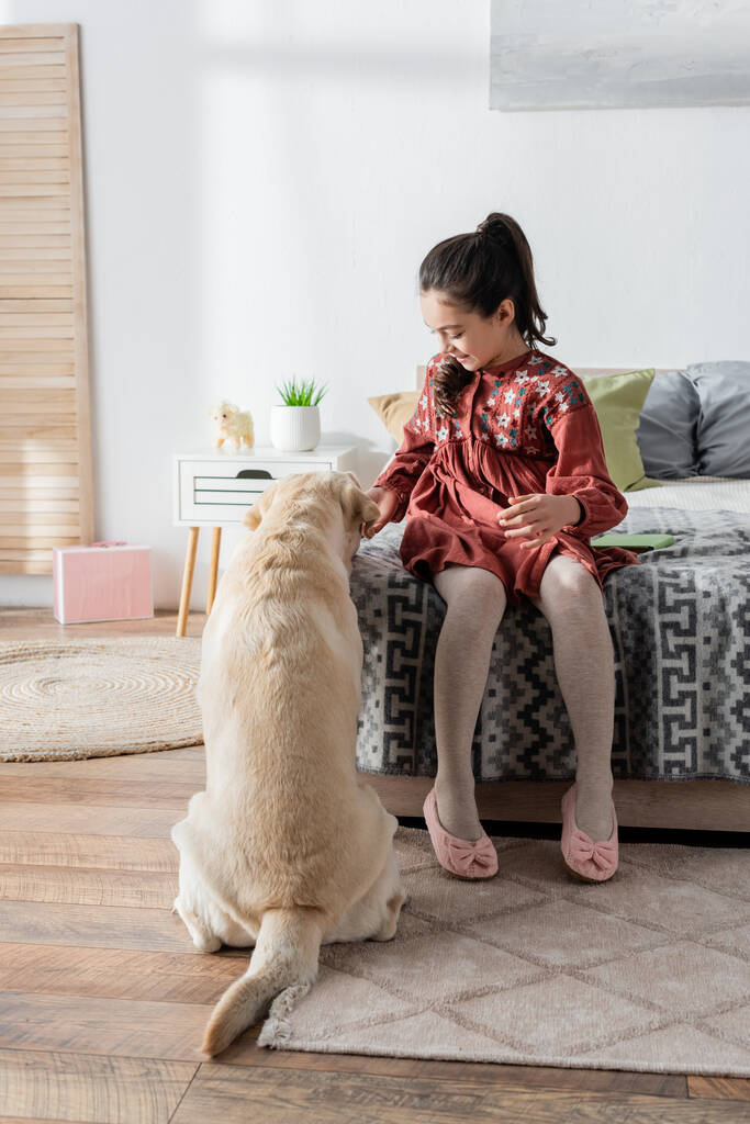 visão de comprimento total da menina pré-adolescente sentada na cama perto do cão labrador  - Foto, Imagem