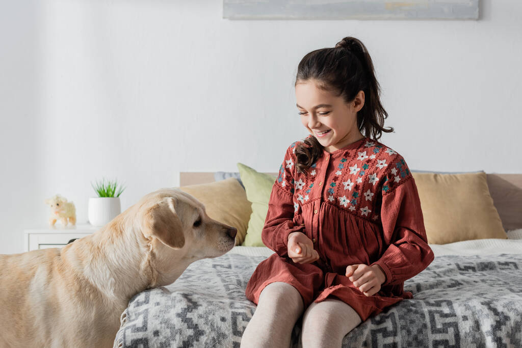 vrolijk tiener meisje spelen met labrador hond in slaapkamer - Foto, afbeelding