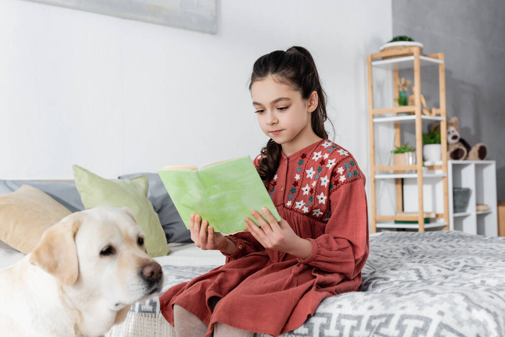 dospívající dívka sedí na posteli v blízkosti rozmazané labrador a čtení knihy - Fotografie, Obrázek