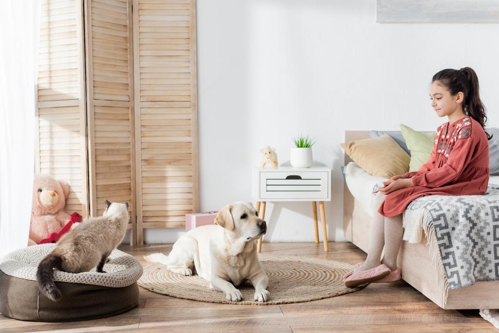 full length view of smiling girl sitting near labrador and cat in bedroom - Photo, Image