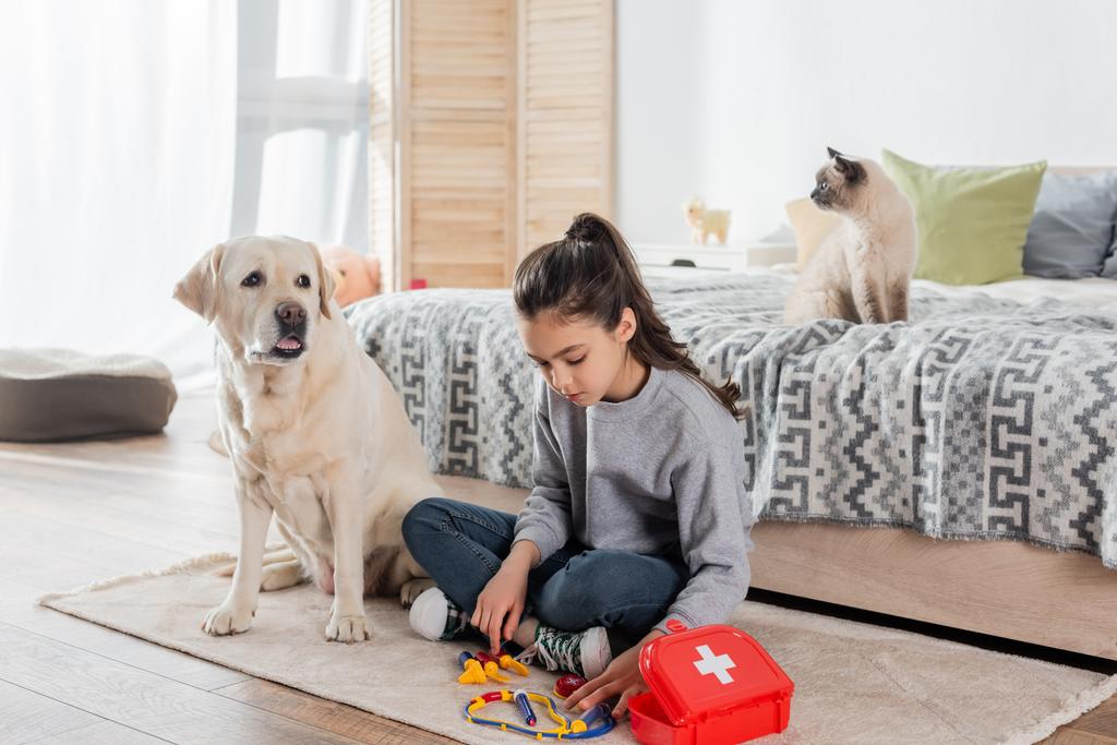 Labrador ve kedilerin yanında oyuncak tıbbi aletlerle doktorculuk oynayan genç kız. - Fotoğraf, Görsel