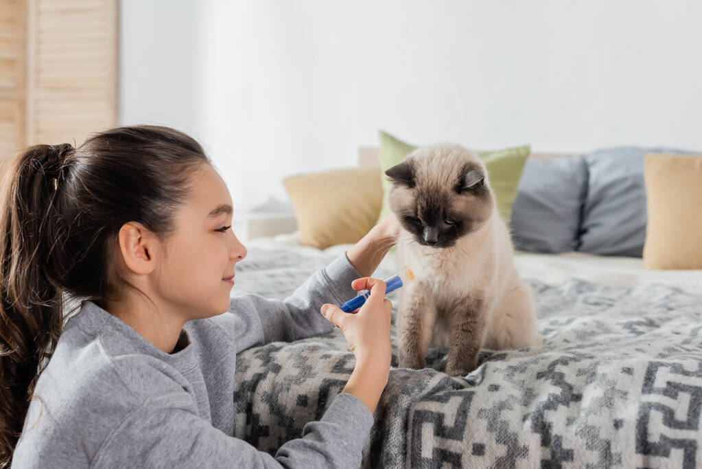 uśmiechnięta dziewczyna robi zastrzyk dla kota ze strzykawką zabawki w sypialni - Zdjęcie, obraz