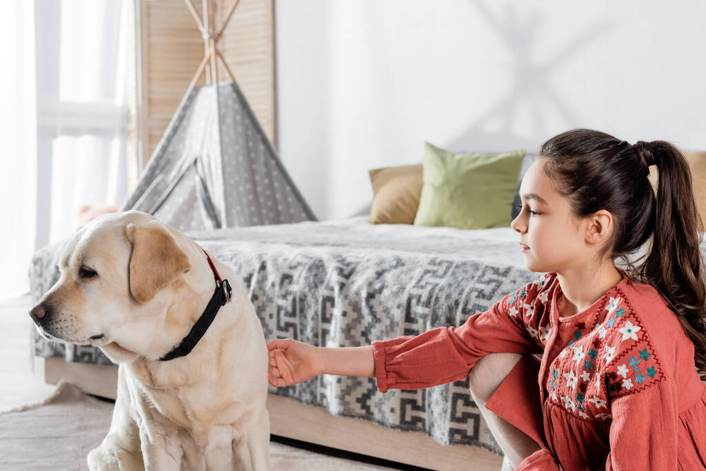 Labrador köpeği yatak odasında genç bir kızın yanında otururken gözlerini kaçırıyor. - Fotoğraf, Görsel