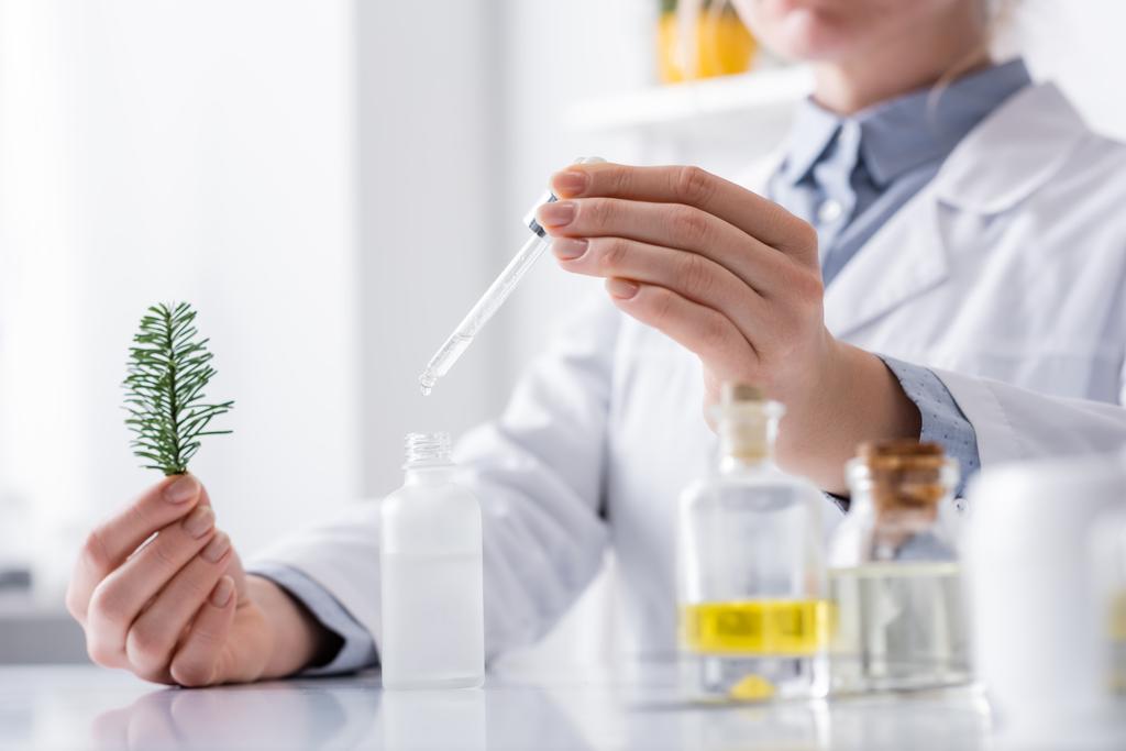 bijgesneden weergave van laboratoriumassistent met dennentak en pipet met serum in de buurt van flessen in het lab - Foto, afbeelding