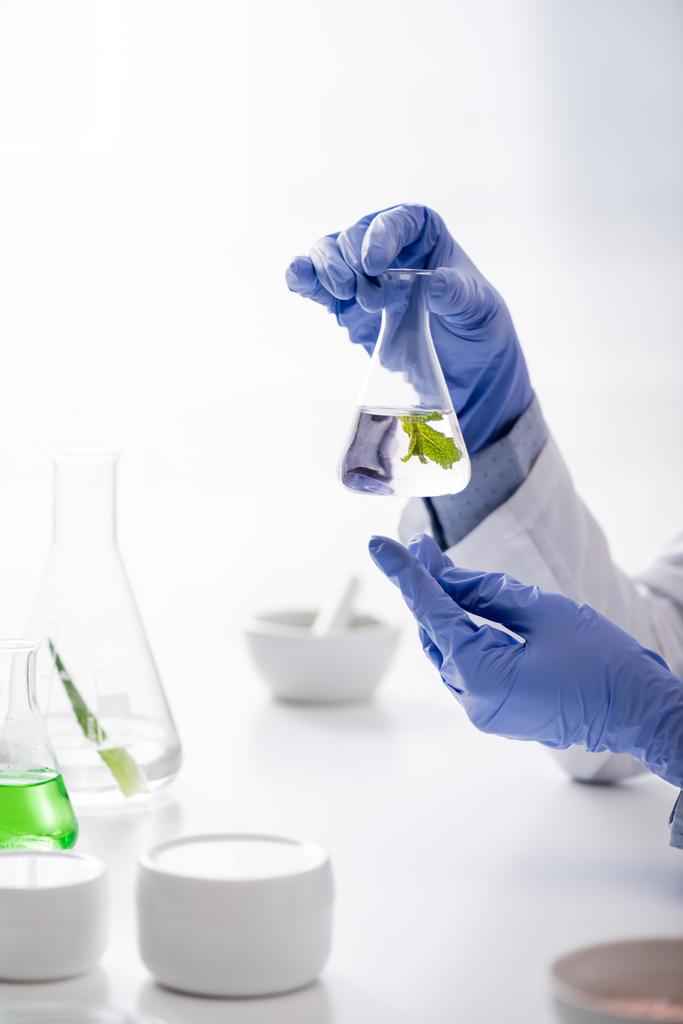 widok przycięty asystenta laboratoryjnego w rękawiczkach lateksowych trzymających kolbę z ekstraktem miętowym  - Zdjęcie, obraz