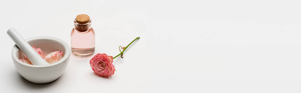 цветок рядом с пестиком и раствором с лепестками и бутылкой с розовой водой на белом, баннер - Фото, изображение