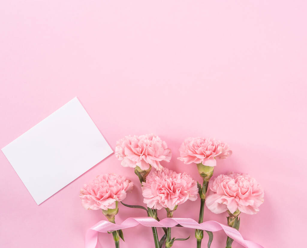 Krásný čerstvý kvetoucí dětský růžový karnace, izolované na jasně růžovém pozadí, matky den poděkování design, vrcholový pohled, plochý ležel, kopírovací prostor, zblízka, předstíraná - Fotografie, Obrázek