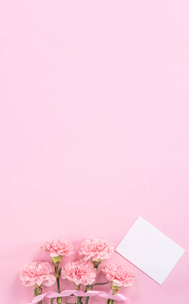 Mooie verse bloeiende baby roze kleur Tender anjers geïsoleerd op fel roze achtergrond, Moederdag dankzij design concept, bovenaanzicht, platte lay, kopieerruimte, close-up, mock-up - Foto, afbeelding