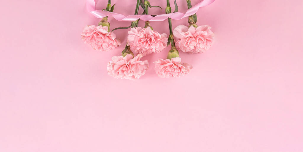 トップビュー、フレイレイ、コピースペース、クローズアップ、モックアップ、母の日感謝のデザインコンセプト。明るいピンクの背景に分離された美しい新鮮な咲く赤ちゃんピンクのカーネーション - 写真・画像