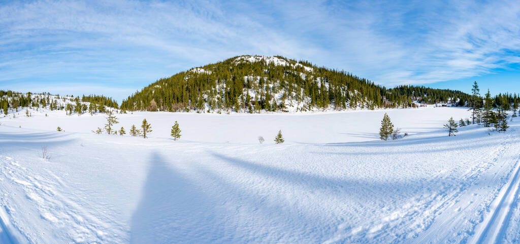 Зимний пейзаж в снегу покрыл природный заповедник Бымарка в Тронхейме, Норвегия - Фото, изображение