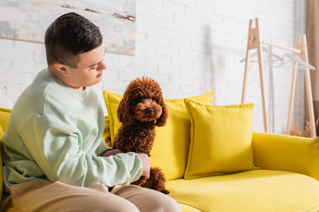 Adolescente com síndrome de down olhando para poodle no sofá em casa   - Foto, Imagem