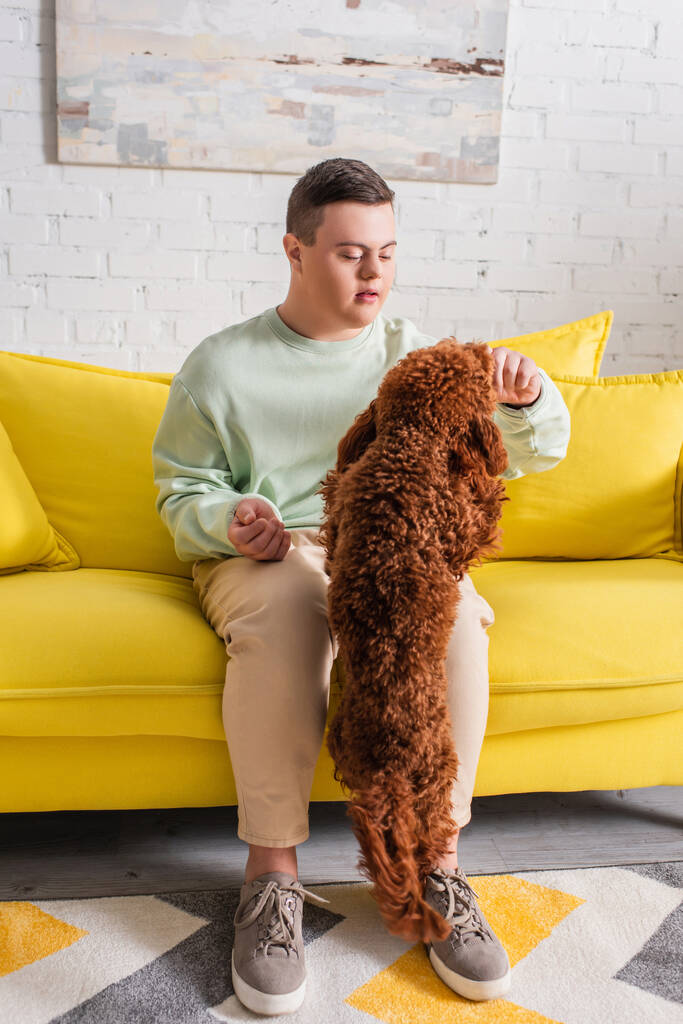 Teenager mit Down-Syndrom spielt zu Hause mit braunem Pudel  - Foto, Bild