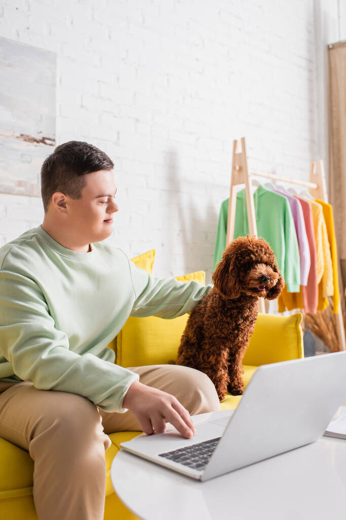 Down sendromlu fino köpeği ve evdeki kanepede dizüstü bilgisayar kullanan bir genç.  - Fotoğraf, Görsel