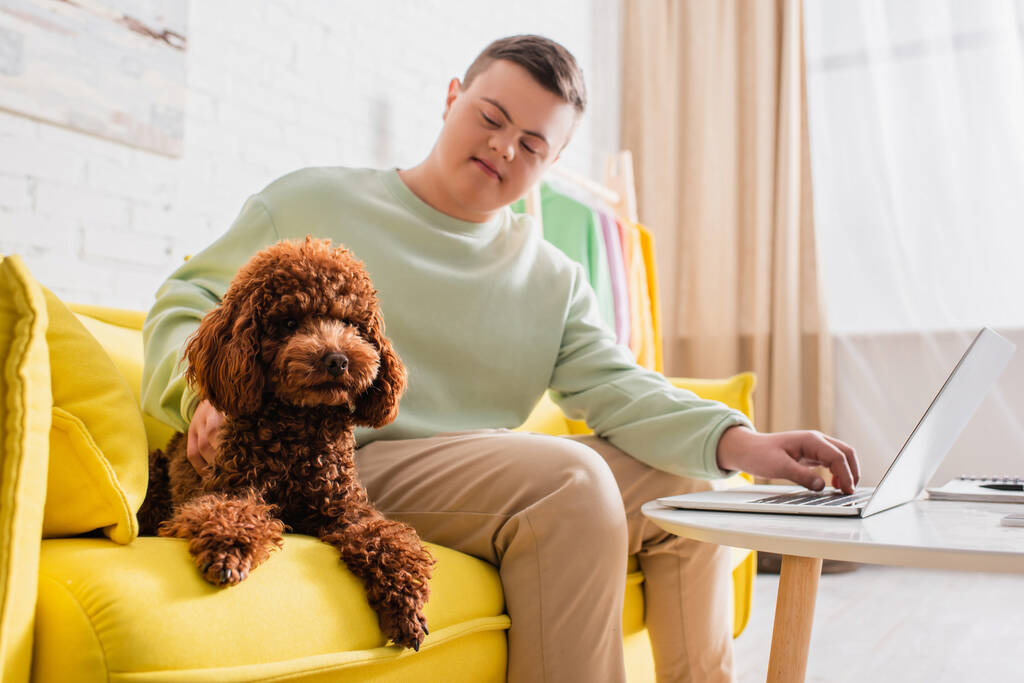 Poodle on couch near teenager with down syndrome using laptop at home  - Photo, Image