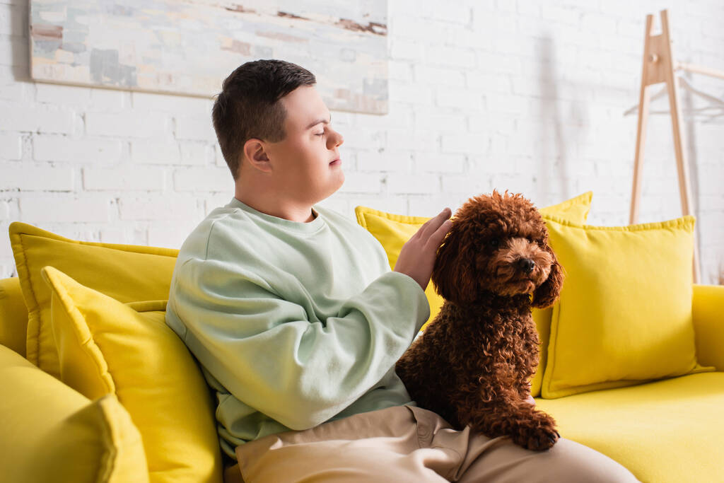 Vista lateral do menino adolescente com síndrome de down poodle petting no sofá  - Foto, Imagem