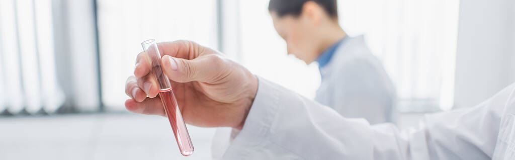 partial view of bioengineer holding test tube with liquid near blurred colleague, banner - Photo, Image