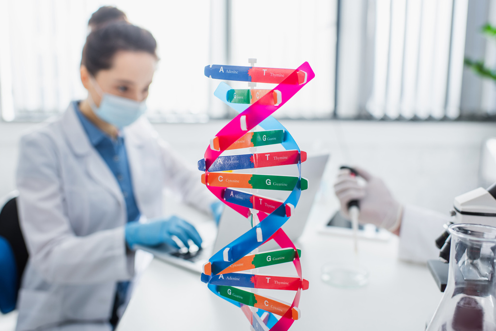 Tıbbi maskeli bulanık genetikçi yakınlarındaki DNA yapı modelinin seçici odağı - Fotoğraf, Görsel