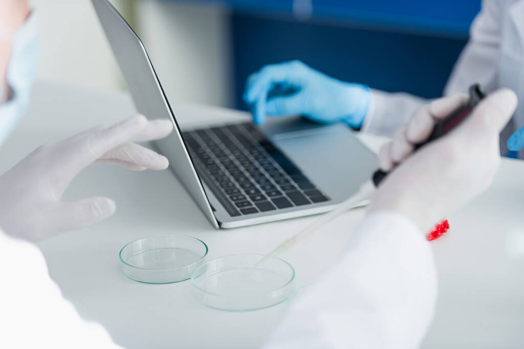 καλλιεργημένη άποψη του επιστήμονα με micropipette κοντά Petri πιάτα, laptop και συνάδελφος - Φωτογραφία, εικόνα