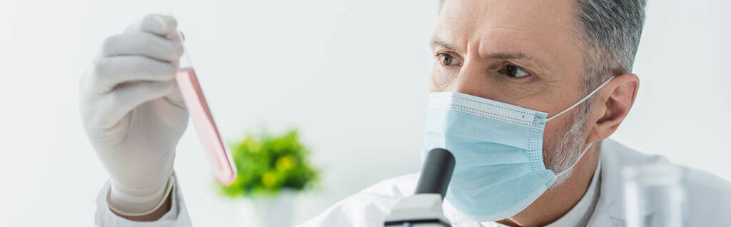 cientista maduro em máscara médica segurando tubo de teste com líquido, banner - Foto, Imagem