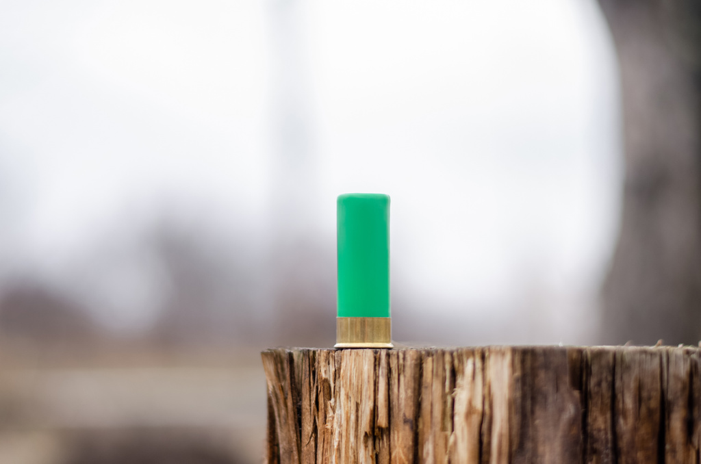 close up view of shotgun shell on wooden stump in woods - Photo, Image