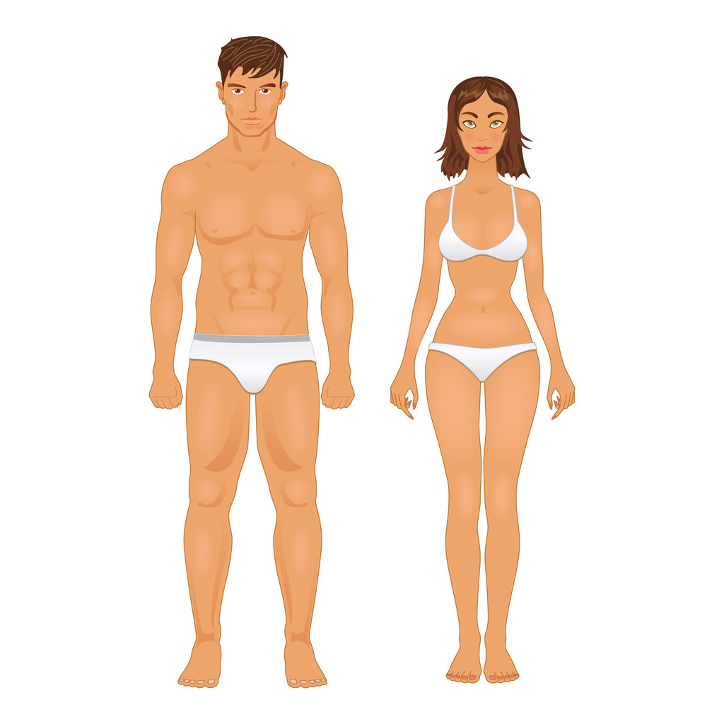 tipo de corpo saudável de homem e mulher em cores retro
 - Vetor, Imagem