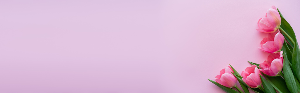 vista superior do buquê de flores floridas isolado em rosa, banner - Foto, Imagem