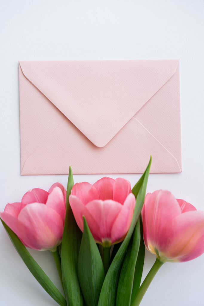 horní pohled na růžové tulipány v blízkosti pastelové obálky na bílém - Fotografie, Obrázek