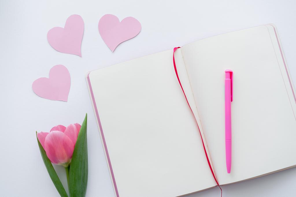 верхний вид тюльпана возле ноутбука и бумажных сердец на белом - Фото, изображение