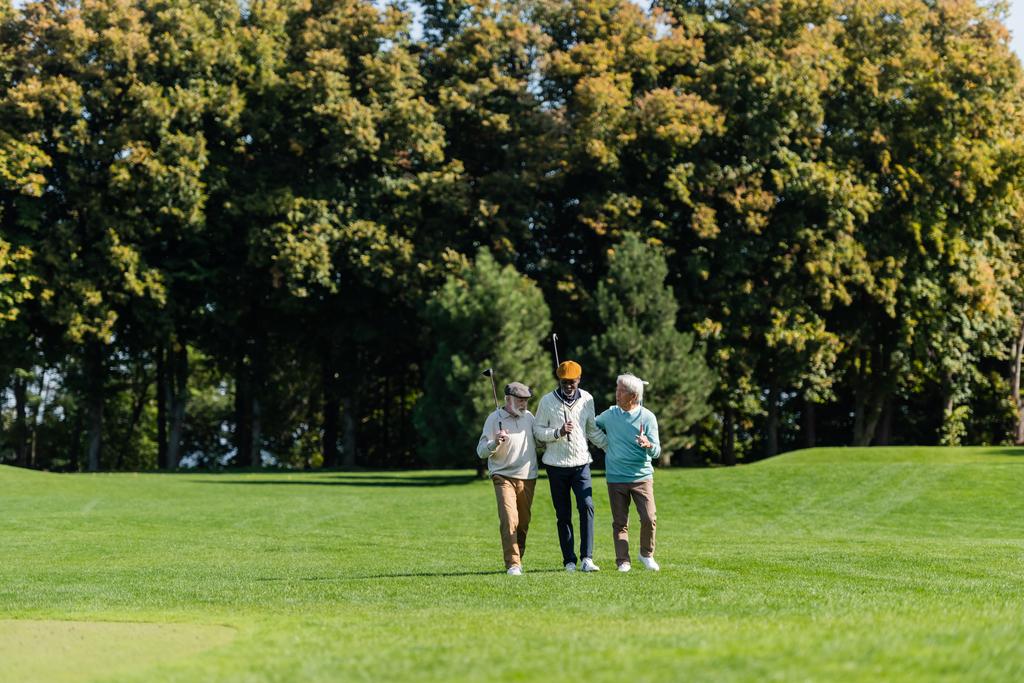 Yaşlı çok ırklı golfçüler ağaçların yanındaki yeşil alanda golf sopalarıyla yürüyorlar. - Fotoğraf, Görsel