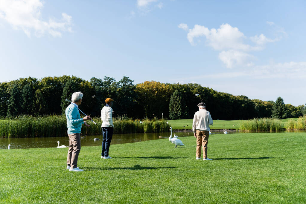 takaisin näkymä vanhempi monikansallisten ystävien golfmailat seisoo vihreällä nurmikolla lähellä lampi  - Valokuva, kuva