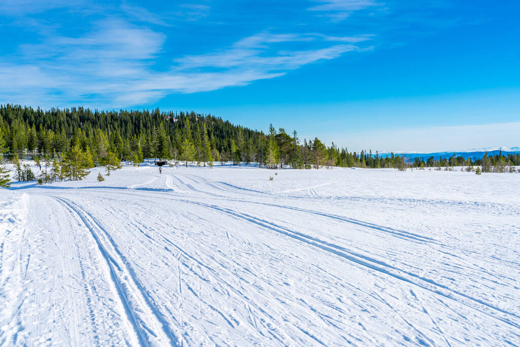 Zimní krajina ve sněhu pokrytá přírodní rezervací Bymarka v Trondheimu, Norsko - Fotografie, Obrázek