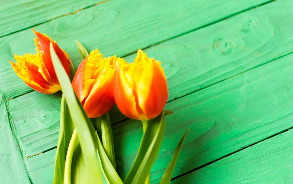 Um buquê de tulipas em um fundo de madeira verde. - Foto, Imagem