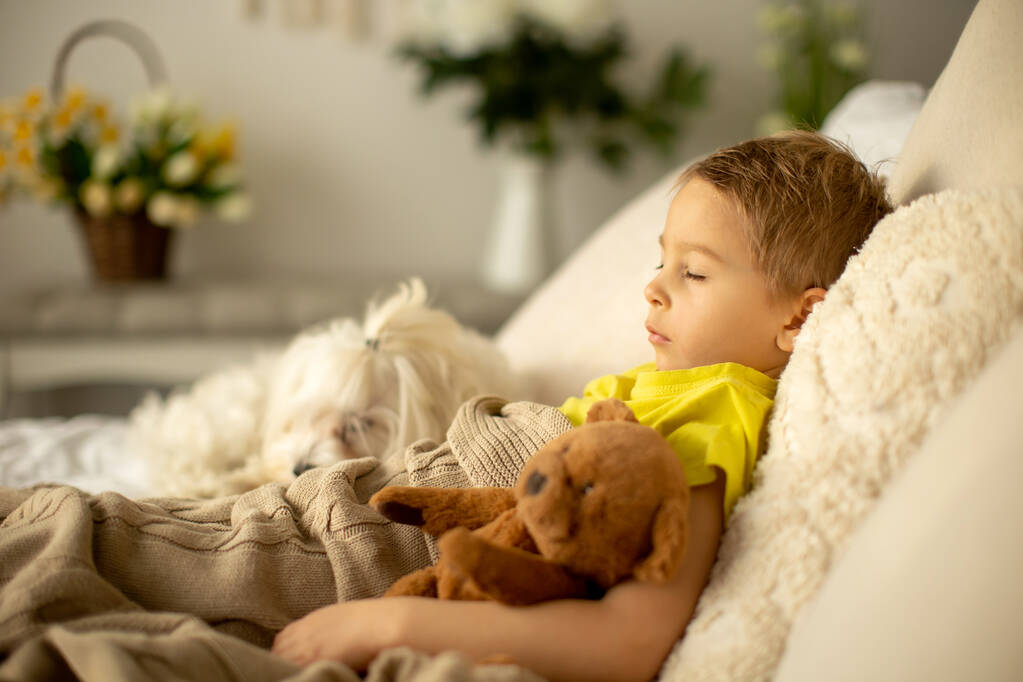 Aranyos kis óvodás fiú a kutyájával, együtt játszanak otthon az ágyban. - Fotó, kép