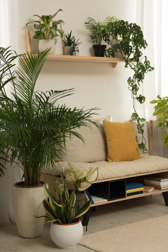 Elegante interior de la habitación con hermosas plantas de interior y cómodo banco - Foto, imagen
