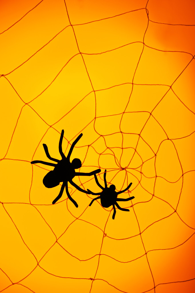 Spinnen am Halloween-Netz - Foto, Bild