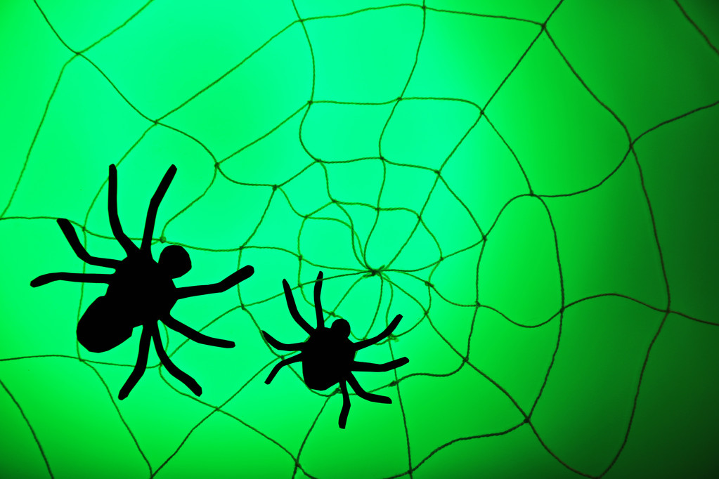 Arañas en la web de Halloween
 - Foto, Imagen