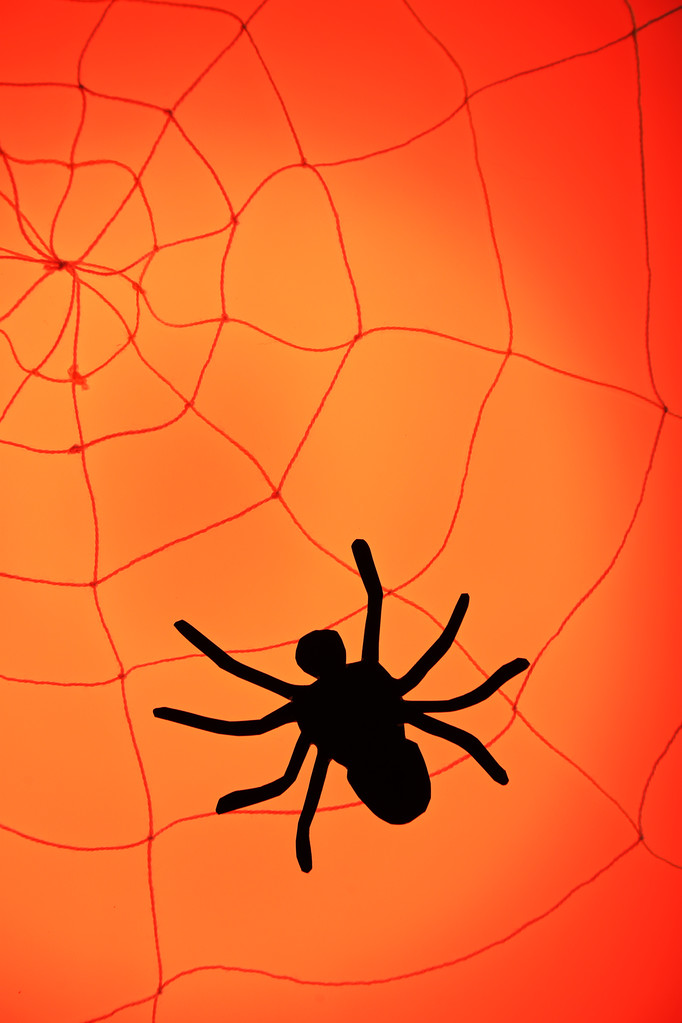Spider en la web de Halloween
 - Foto, imagen