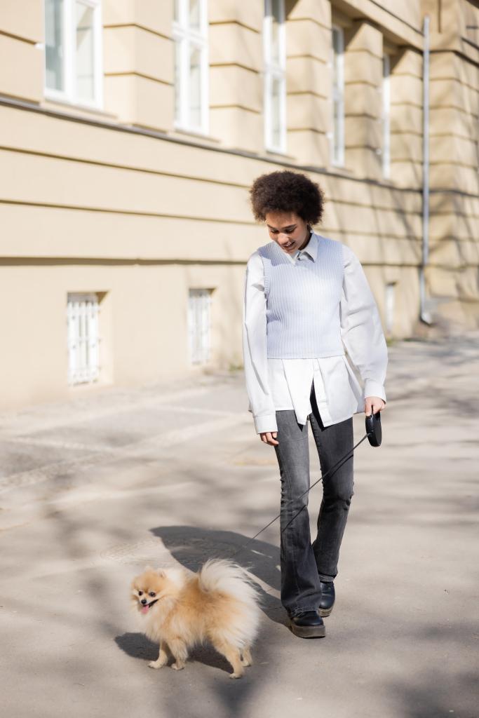 ポメラニア犬と歩く幸せなアフリカ系アメリカ人女性の - 写真・画像