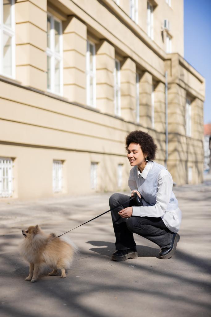full length of smiling african american woman walking with pomeranian dog - Foto, afbeelding