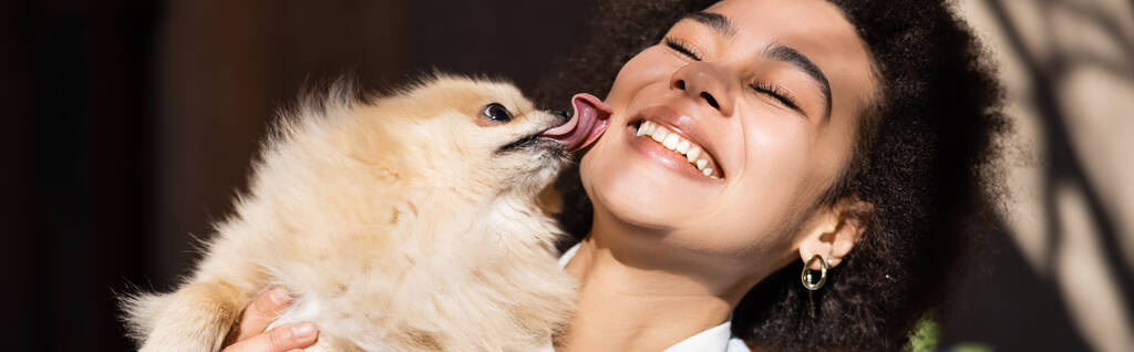 pomeranian dog licking cheek of happy african american woman, banner - Foto, Imagen
