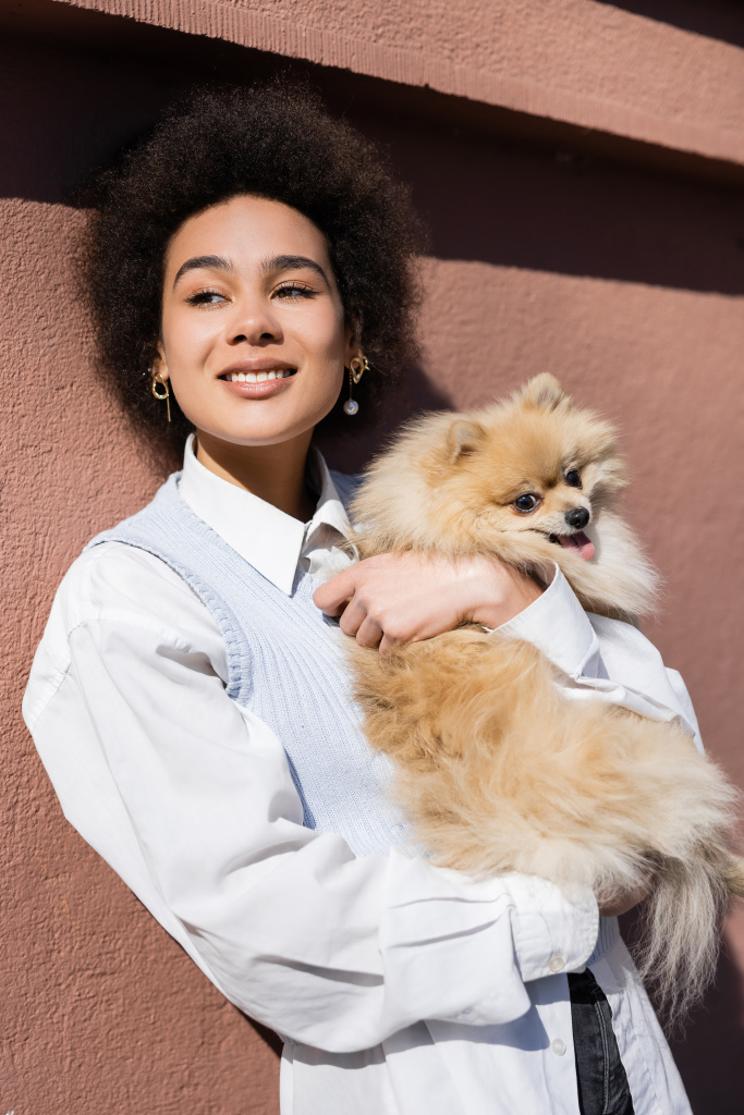 curly african american woman in blue vest smiling and holding in arms pomeranian spitz  - Fotoğraf, Görsel